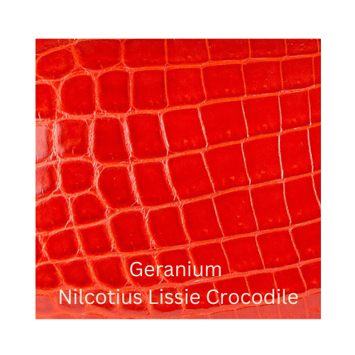 Geranium Nilcotius Lissie Crocodile