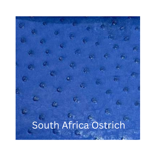 South Africa Ostrich