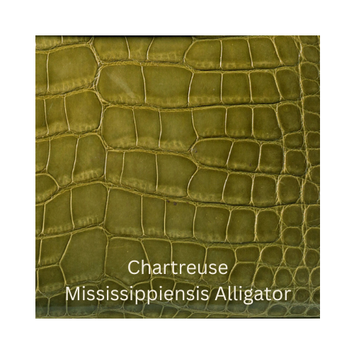 Chartreuse Mississipiensis Alligator
