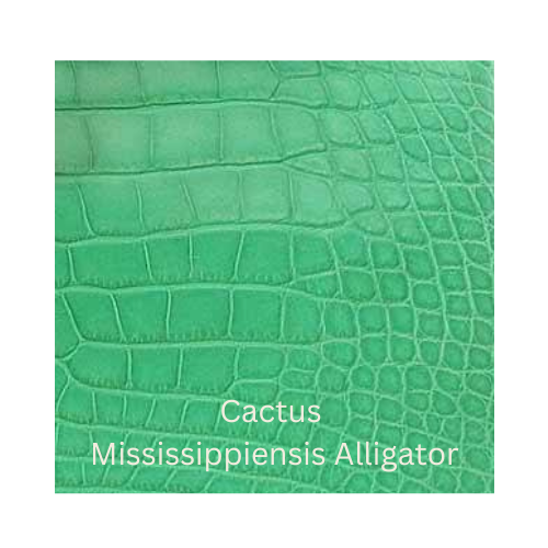Cactus Mississipiensis Alligator