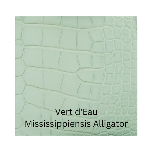 Vert d'Eau Mississipiensis Alligator