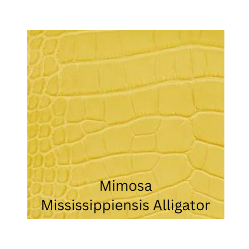 Mimosa Mississipiensis Alligator