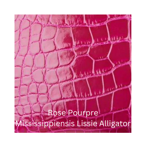 Rose Pourpre Mississipiensis Lissie Alligator