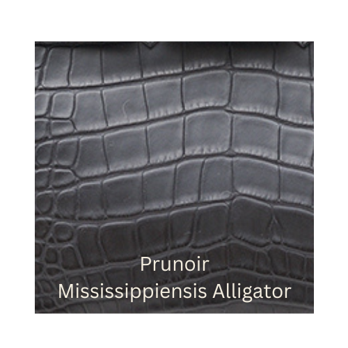 Prunoir Mississipiensis Alligator