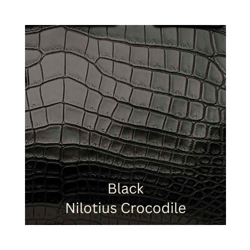 Black Nilotius Crocodile
