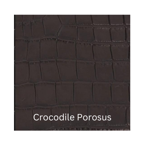 Crocodile Porosus