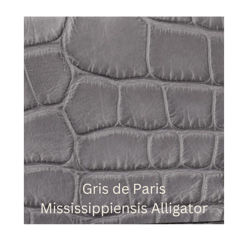 Gris de Paris Mississipiensis Alligator