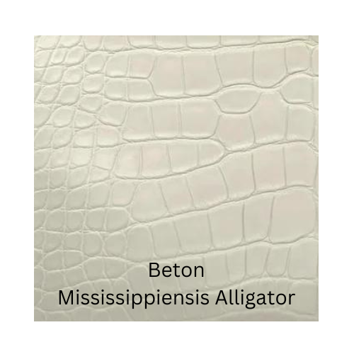 Beton Mississipiensis Alligator