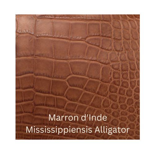 Marron d'Inde Mississipiensis Alligator