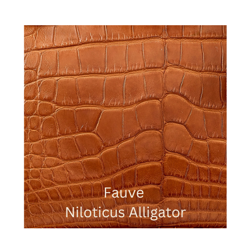Fauve Niloticus Alligator