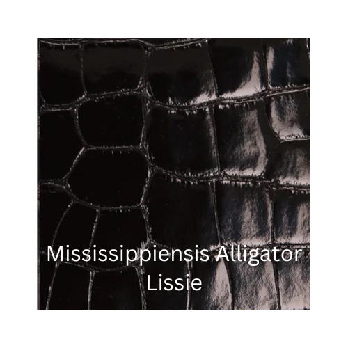 Mississippiensis Alligator Lissie