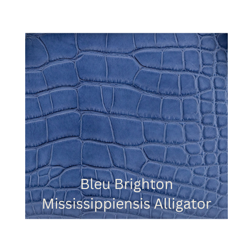 Bleu Brighton Mississipiensis Alligator