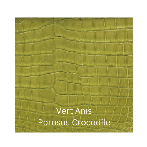 Vert Anis Porosus Crocodile