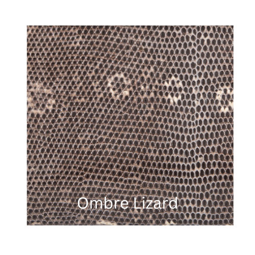 Ombre Lizard