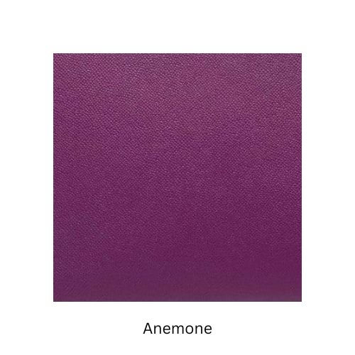 Anemone