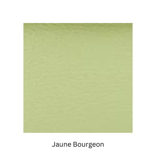 Jaune Bourgeon