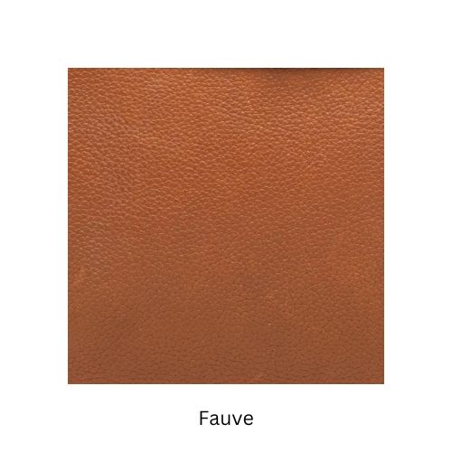 Fauve